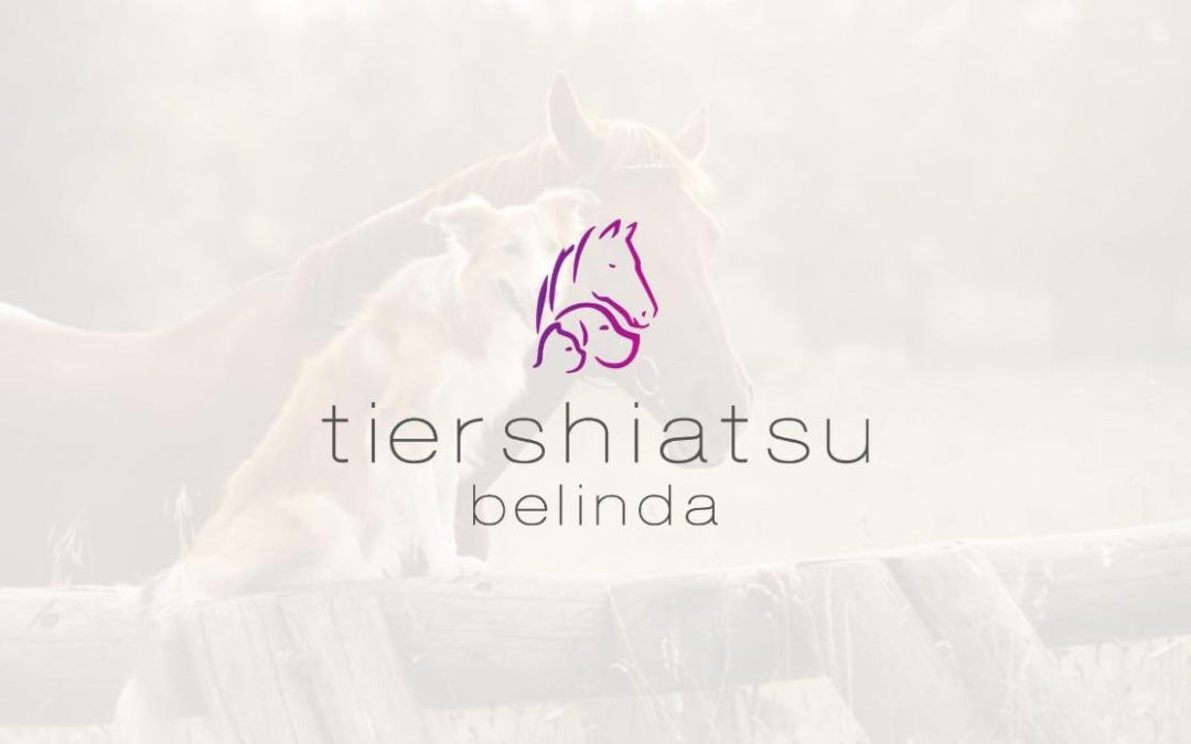 Logodesign Tiershiatsu Belinda