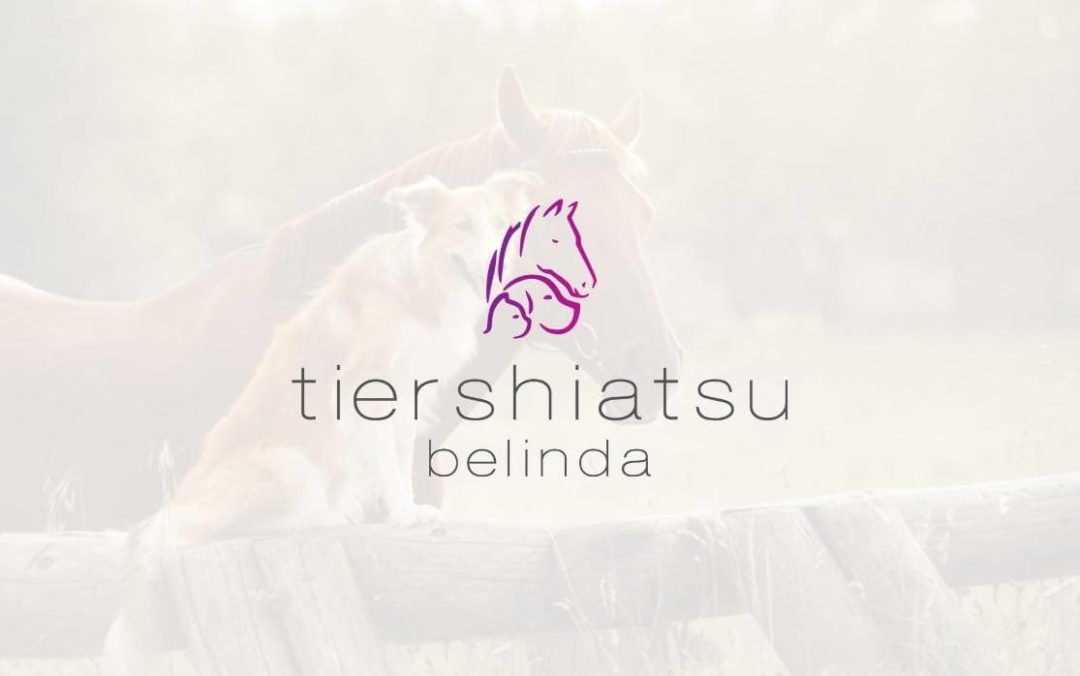 desandro_logodesign_grafikdesign_referenz